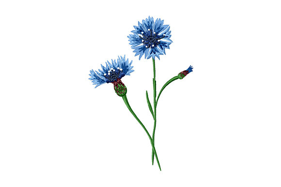 Bouquet of Cornflowers: A Designer's Review for Handmade Gifts