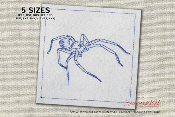 Brown Recluse Spiders: A Designer's Review for Real Projects