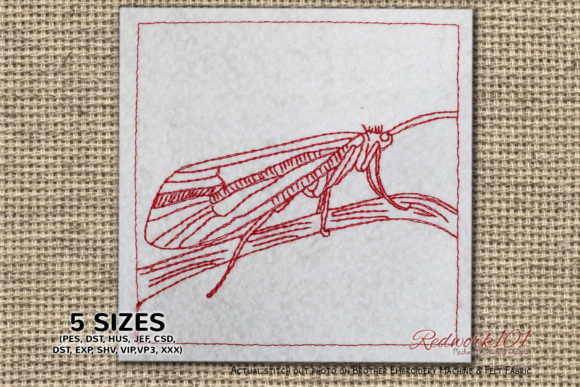 Caddisfly on Leaf: A Designer's Review for Real Projects