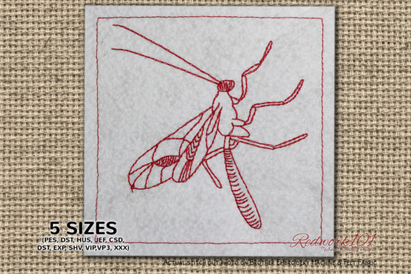 Ichneumonidae: A Unique Bug Design for Holiday Collections